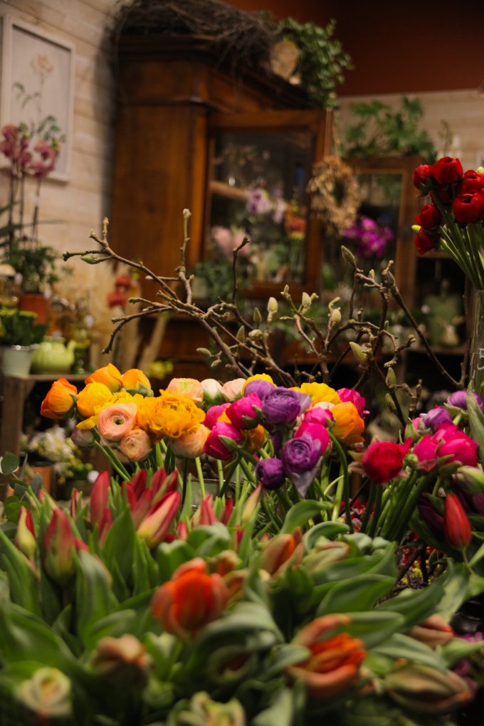 Un parfum de souvenir et de tendresse photo 9